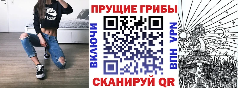 Галлюциногенные грибы мухоморы  kraken рабочий сайт  Буй  сколько стоит 